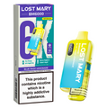 Lost Mary BM6000 Prefilled Vape Pod Kit Pk of 5 Lost Mary