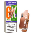 Lost Mary BM6000 Prefilled Vape Pod Kit Pk of 5 Lost Mary