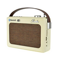 LLOYTRON DAB/FM Portable Stereo Radio with MusicStream - MP3 Playback with USB and MicroSD Card - AUX Input - Headphone Socket - Digital LCD Display Lloytron