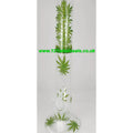 Glass Bongs by Glass